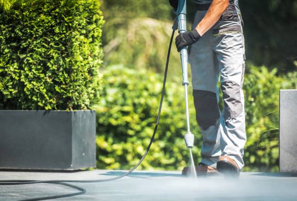 Best Patio and Deck Pressure Washing  in Scottsville, NY