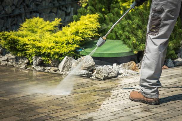 Best Driveway Pressure Washing  in Scottsville, NY