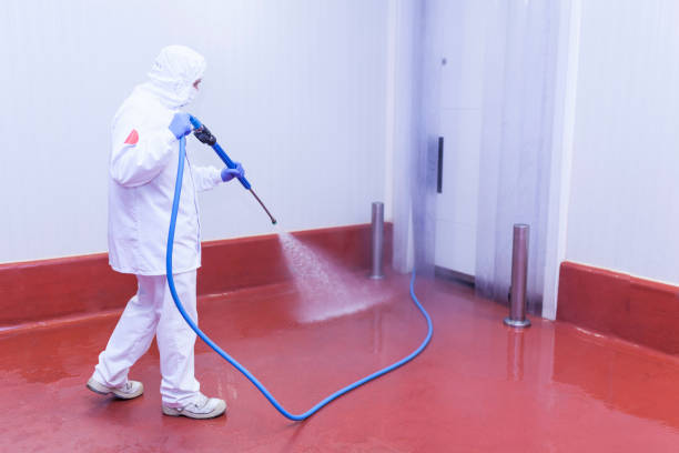 Best Machinery and Equipment Cleaning  in Scottsville, NY