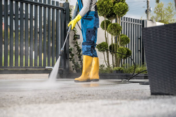 Best Paint Preparation  in Scottsville, NY