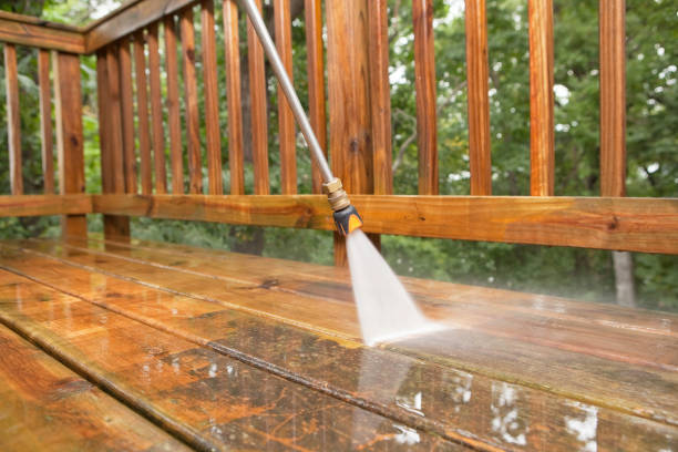 Best Paint Preparation  in Scottsville, NY